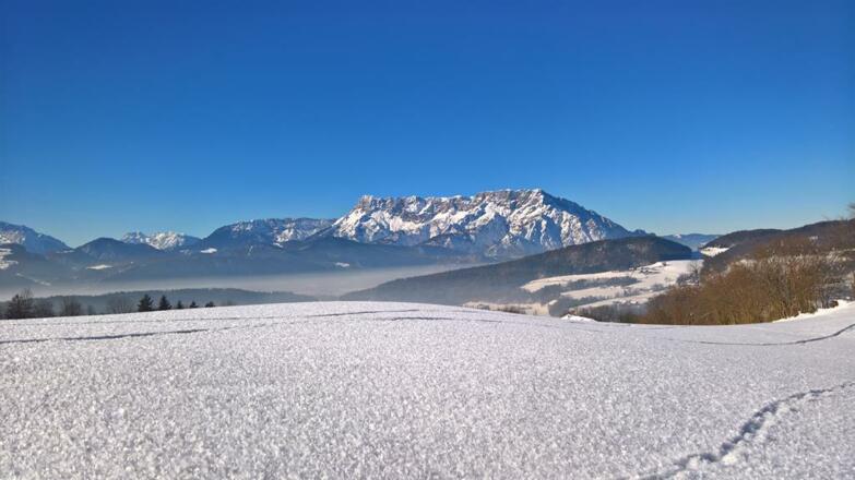 Winter5