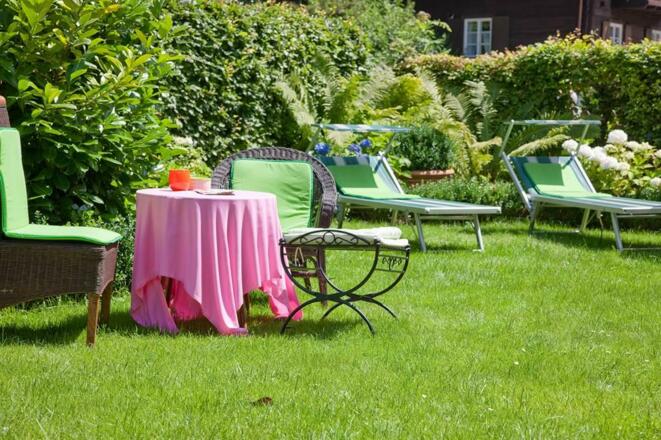 garden