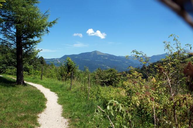 Blick auf den Schlenken