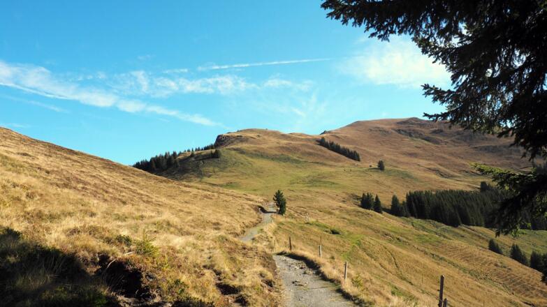 Plateau um 1725m, rechts ab zur Schützingalm
