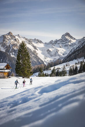 Unterwegs Richtung Burtscha Alpe/Burtschasattel