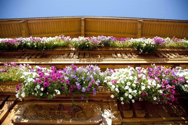 Balkon mit Blumen