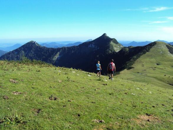 Wandern am Trattberg