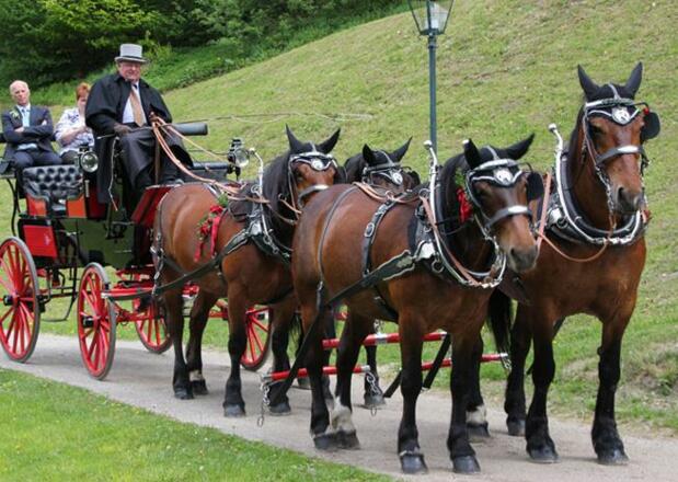 Pferdekutschenfahrten Lax