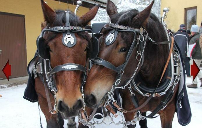 Kutscherei Lax im Winter