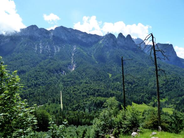 Der Weg verläuft am Nordfuß der Reiter Alpe.