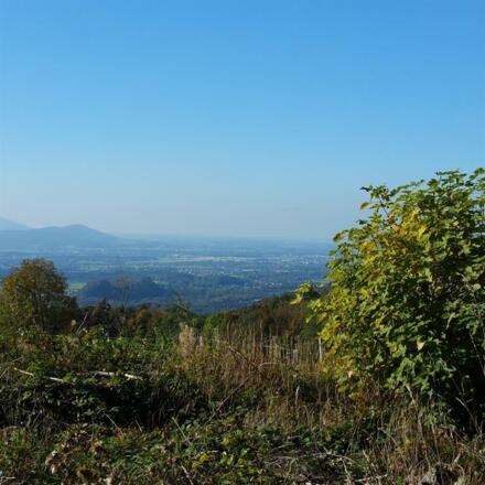 Blick ins Tal