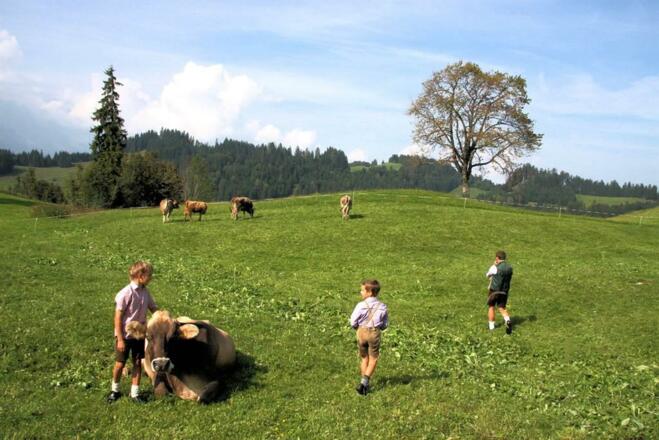 Urlaub am Bauernhof