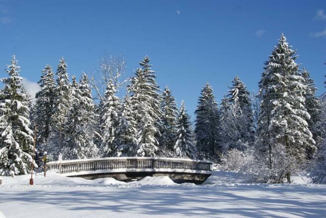 Winterlandschaft Apartment