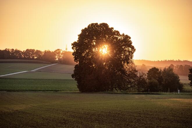Sonnenuntergang auf der Feckinger Runde bei Saal a.d. Donau