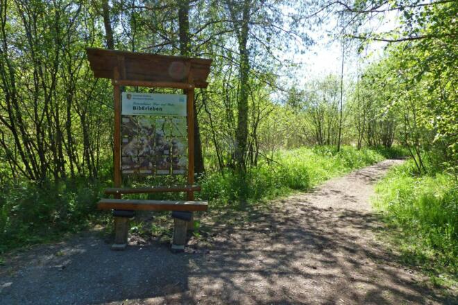 Infotafel Moorlehrpfad Nicklheim