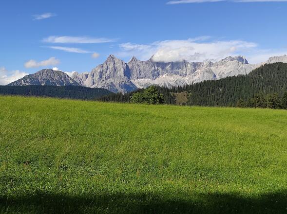 Blick zum Dachstein
