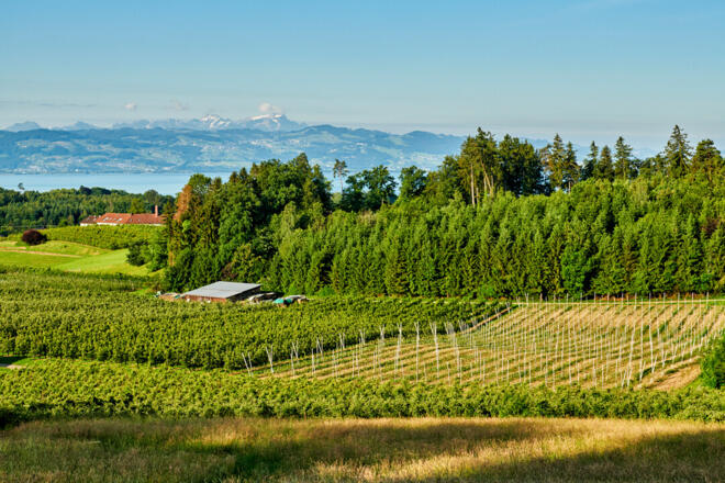 © floriantrykowski.com