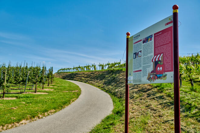 © floriantrykowski.com