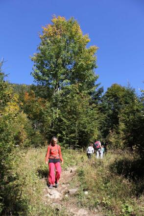 Der südseitieg Aufstieg im lichten Wald.