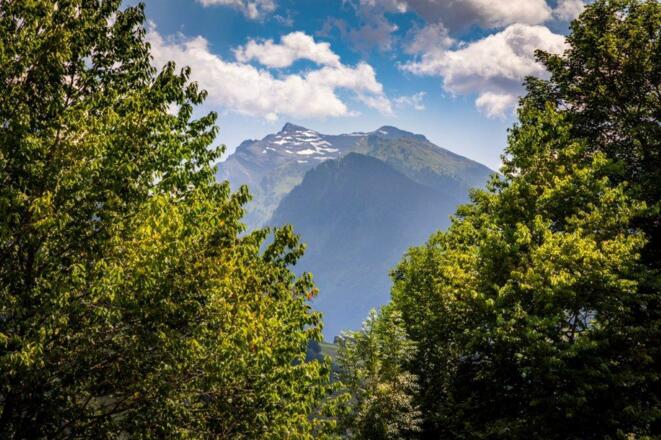 20210723_OberhaushofAussen_050 - Kopie