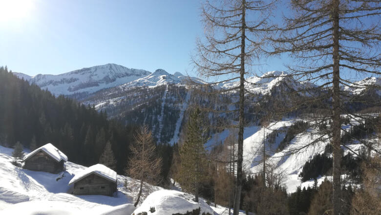 Blick Richtung Zauchensee