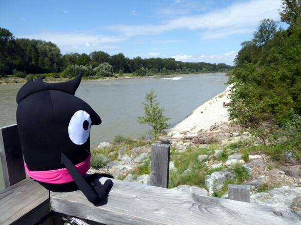 Edgar träumt sich weg: von der Salzach über Inn und Donau bis zum Schwarzen Meer.