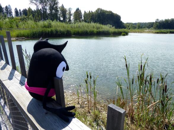 Was hat Edgar wohl jetzt wieder entdeckt?