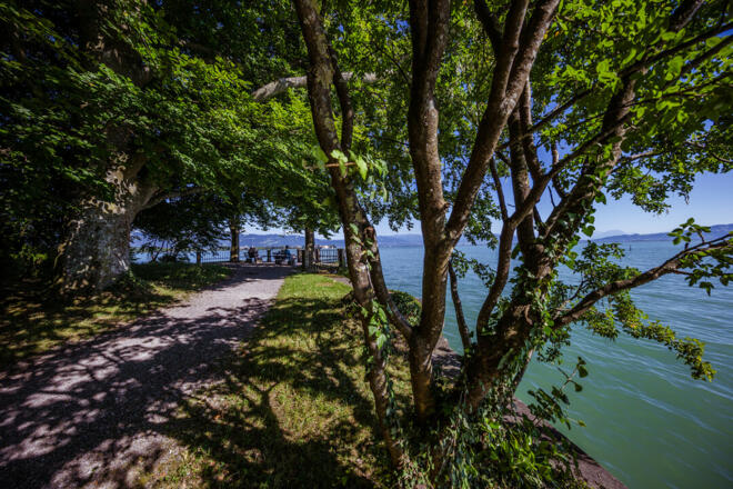 © 2015 by Helmuth Scham