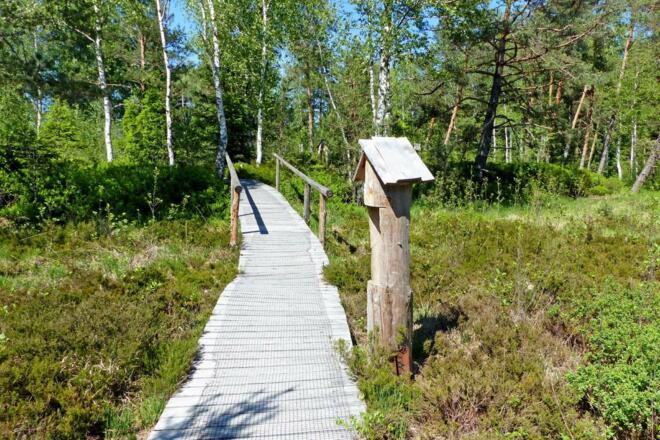 Bohlenweg Moorlehrpfad Nicklheim