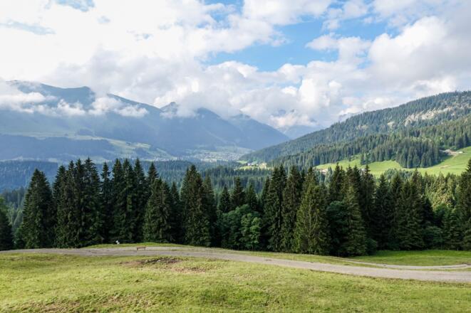 Straussberg am Hörnlepass