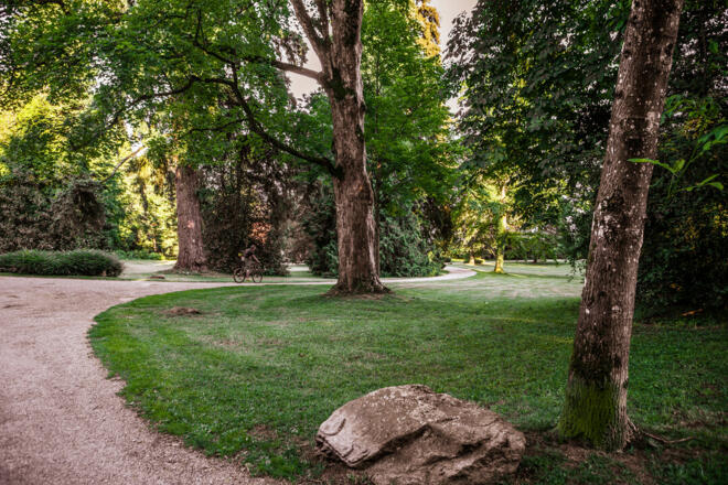 © 2015 by Helmuth Scham