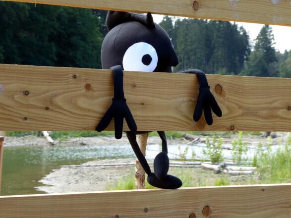 Edgar, willst du den Eisvogel sehen, musst du in Deckung gehen!