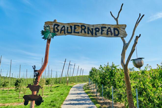 © floriantrykowski.com