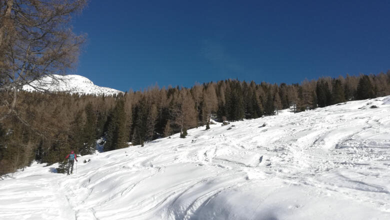 Strimskogel links in Sicht