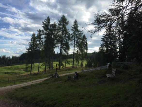 Bischoferjoch Berggasthof Holzalm