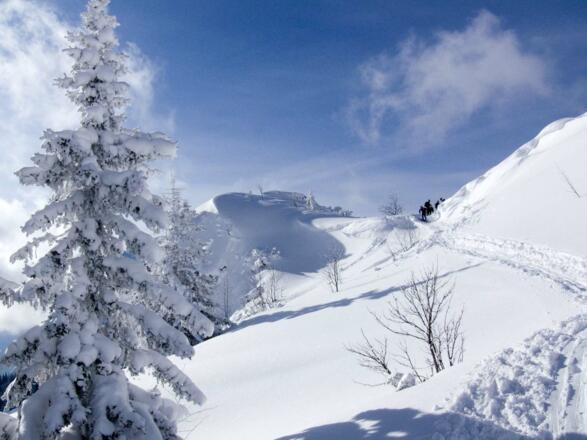 Der lange Übergang vor der Abfahrt kostet etwas Mühe, doch dann geht es locker auf der Piste ins Tal.