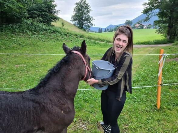 Mädchen und Pferd