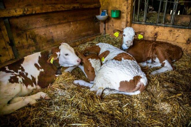 20210723_OberhaushofAussen_134