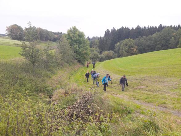Aufstieg nach Scheibelsgrub