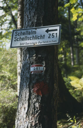 Weggabelung beim Anstieg.