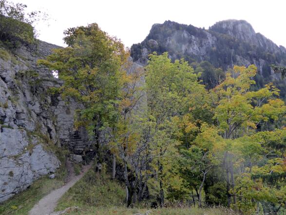 Wie`s beliebt: Die Ruine Wartenfels oder der Schober könnten die höchsten Punkte der Wanderung sein.