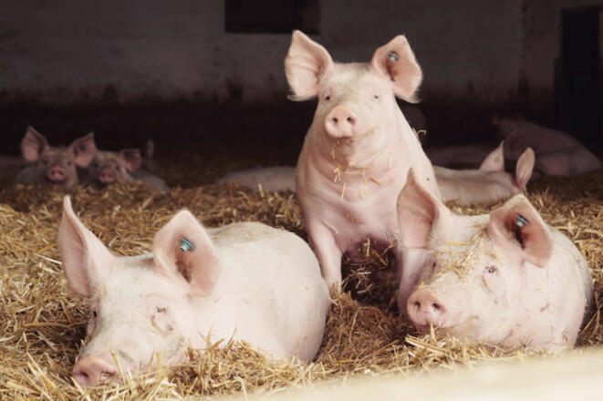 9c489581 4e79 4d85 a11e ecdd7c332df5