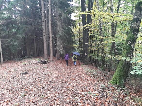 Abstieg nach Scheibelsgrub
