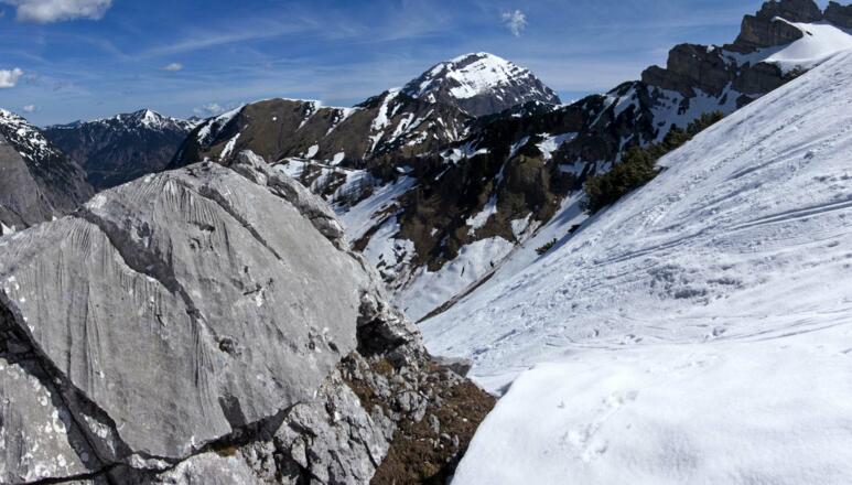 Hinten ragt das Sonnjoch auf.