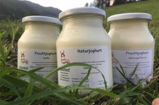 Verschiedene Joghurts