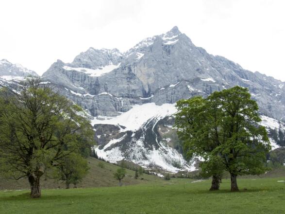 Zuerst durchquert man den Großen Ahornboden.