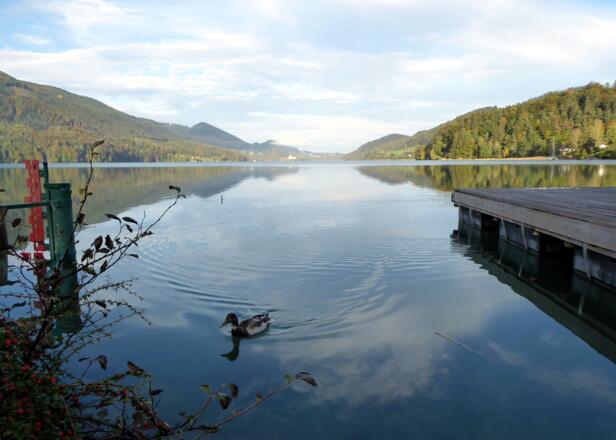 Herbstliche Ruhe am Fuschlsee.