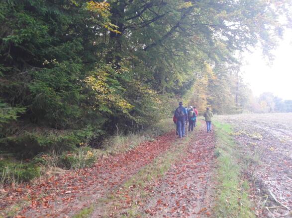 Weg nach Weingarten