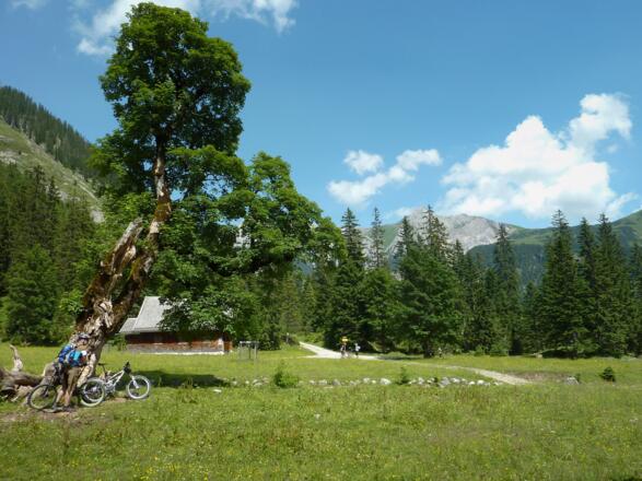 Am Kleinen Ahornboden