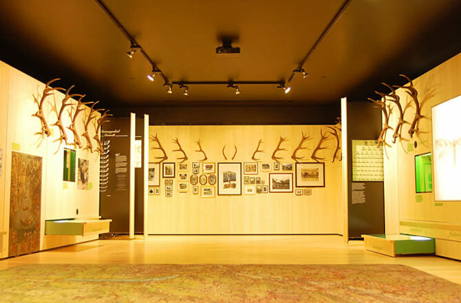 Im Museum
