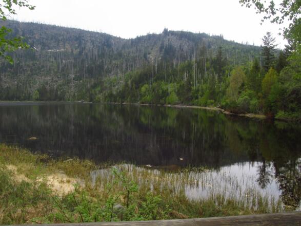 Plöckensteinersee