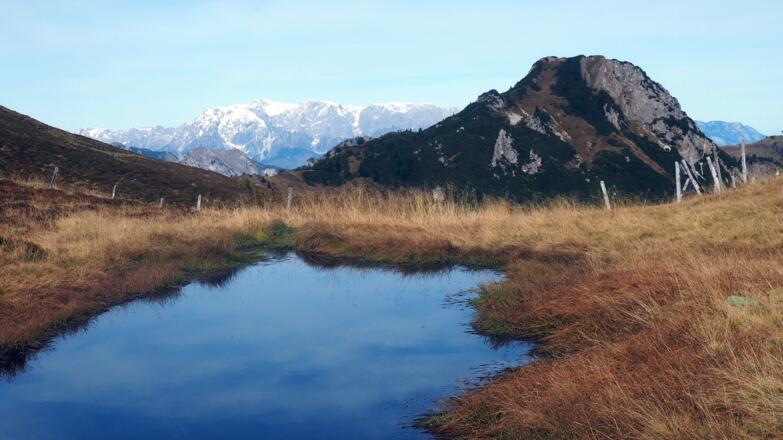 Lacke am Filzmoossattel ~2070m mit Hochkönig hinten