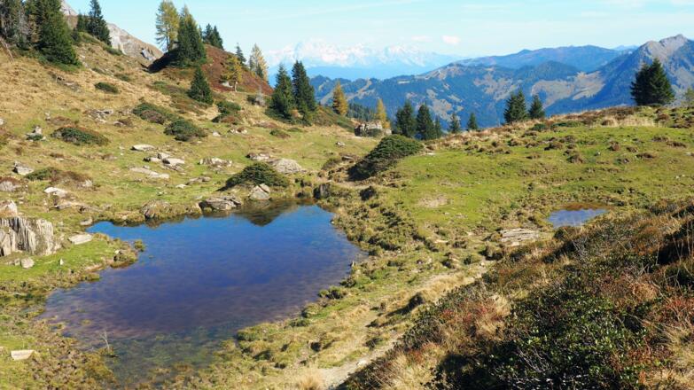 Hier bei der Lacke (~1995m) Abstieg zur Schiedhochalm