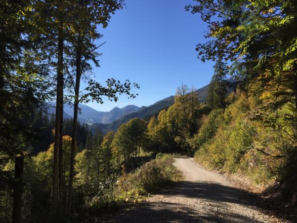 Wanderweg zur Ackernalm